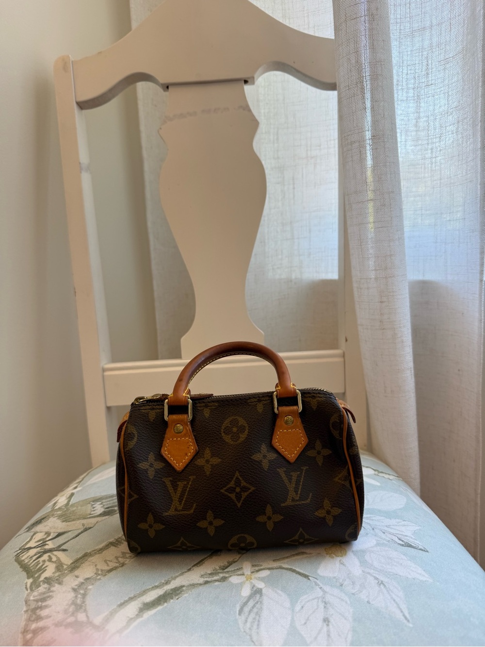 Louis Vuitton Mini Nano Speedy